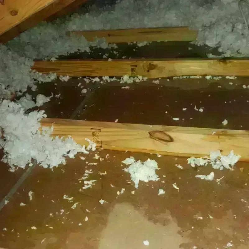 Attic Water Damage in Horizon City, TX