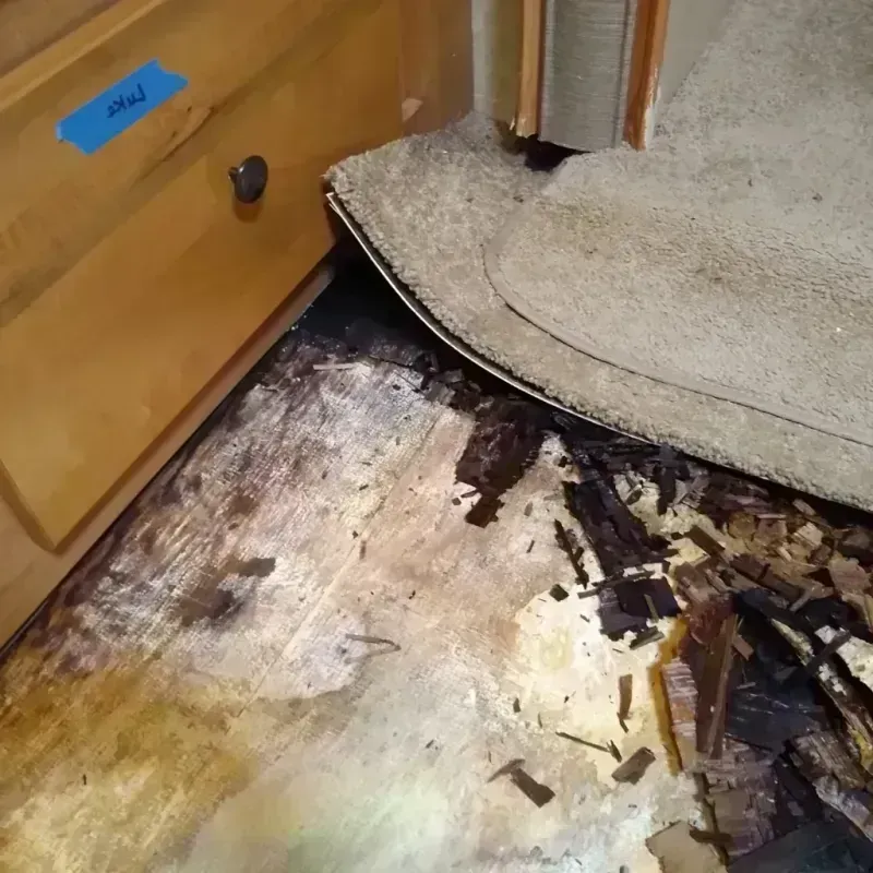 Wood Floor Water Damage in Horizon City, TX